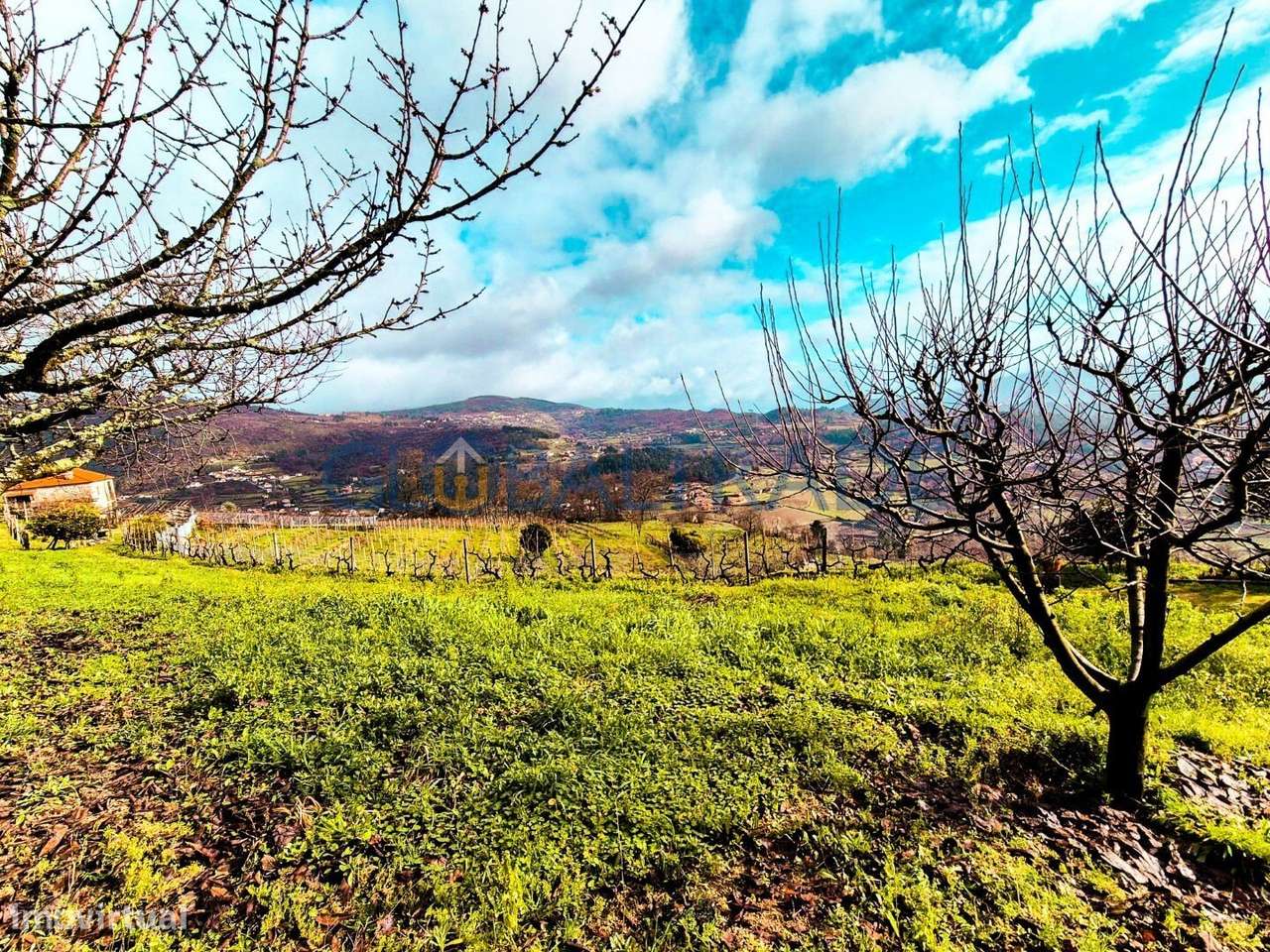 Quinta com 5250 m² & Moradia T1 em Pedra – Baião-32