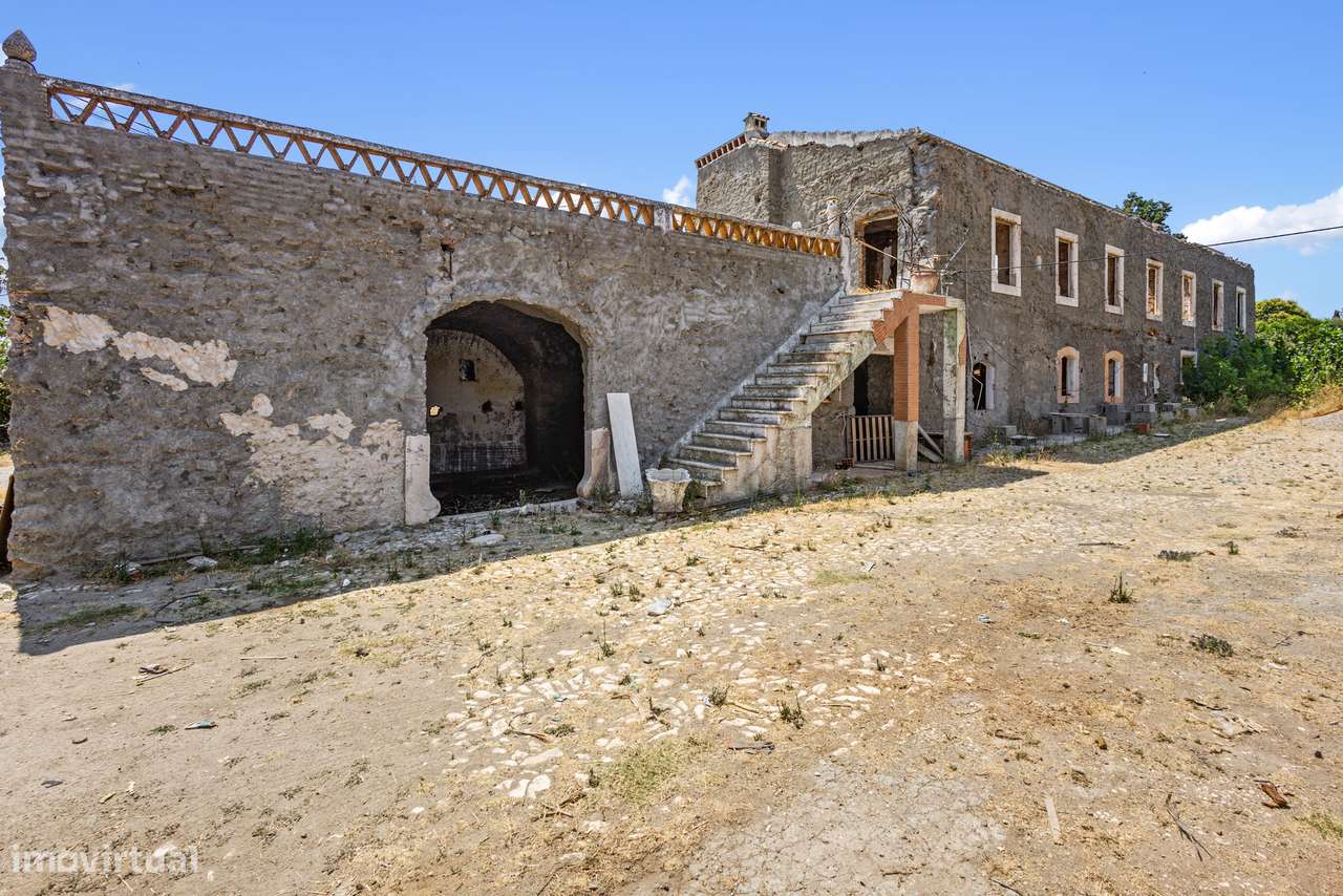 Quinta em Borba: projeto de enoturismo e vinha DOP, Alentejo-8