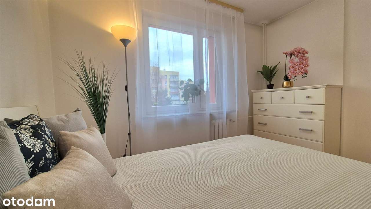 Kalinowa|Słoneczne|Parking|Komórka-2