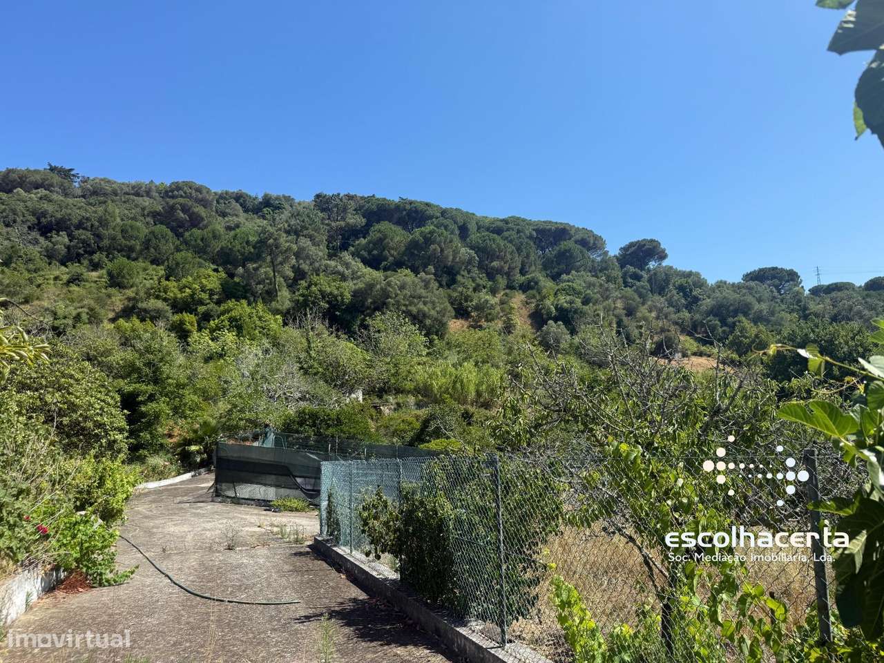 Quinta unica em pleno coração da Arrabida-52