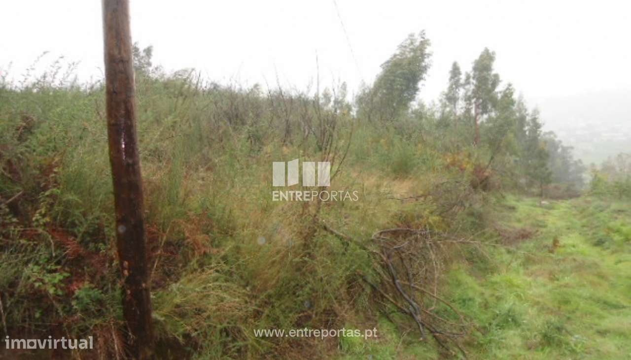 Venda Terreno, Croca, Penafiel - Grande imagem: 2/10
