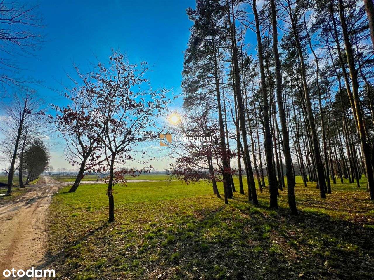 Działki na granicy Rozgart a Górska. Bez prowizji - Pełny obrazek: 4/7