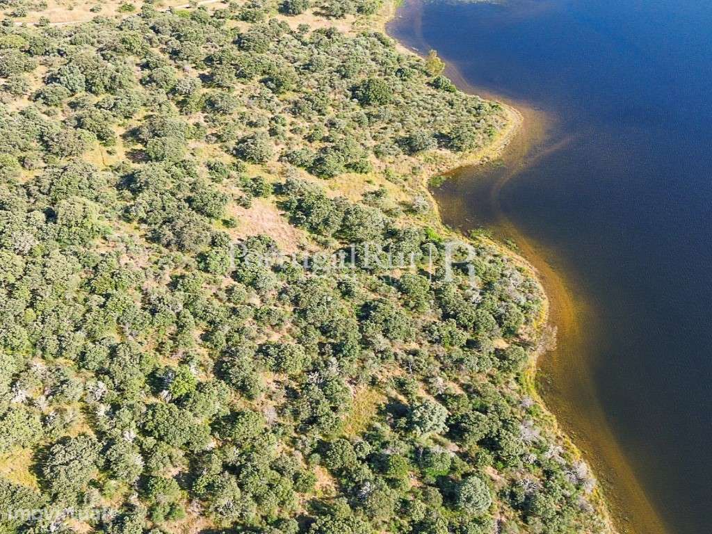 Terreno com 11,5ha na barragem de Idanha-a-Nova - Grande imagem: 5/22