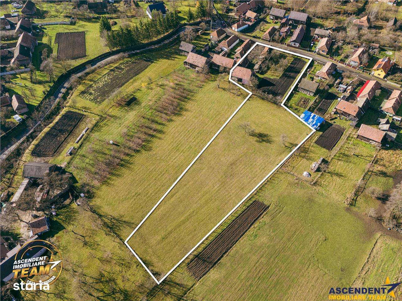 FILM! Casa si anexe, pe domeniu de 6.221mp,  livada pomi fructiferi, L-10