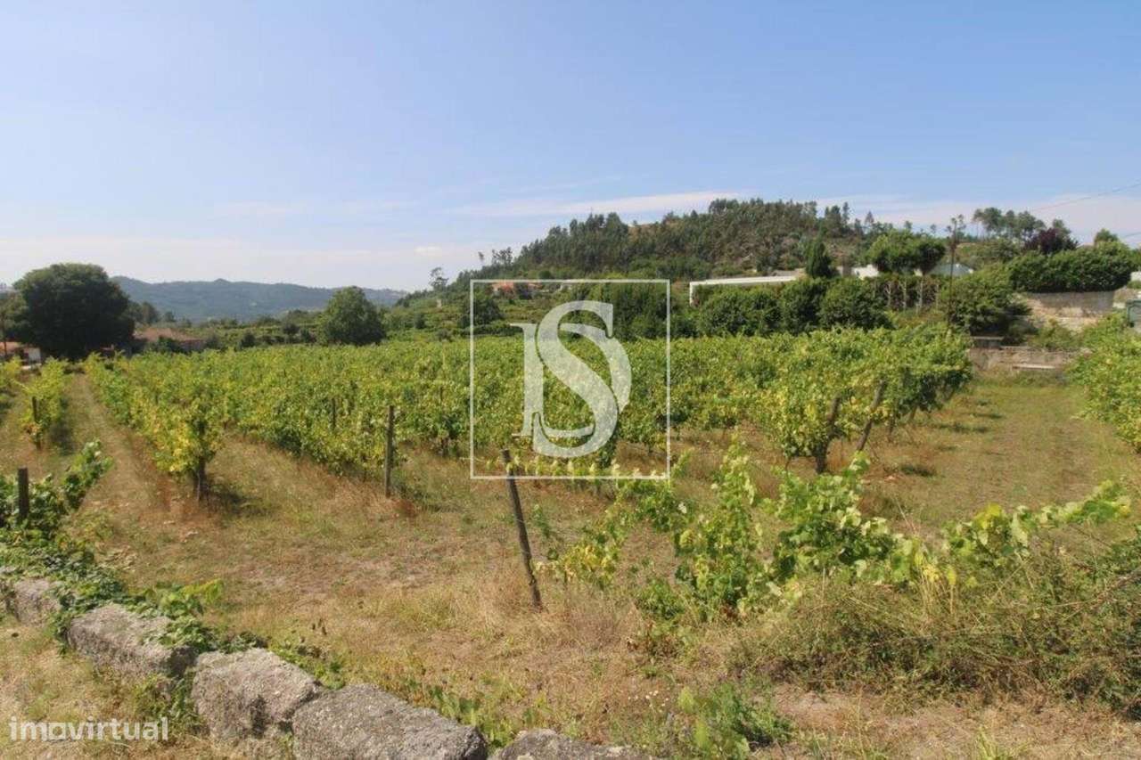 Terreno Não definido em Salvador do Monte - Grande imagem: 3/10