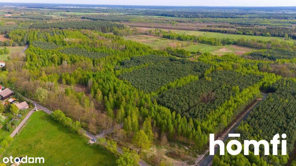 Duża działka z potencjałem, cisza i spokój-Jaźwiny - Pełny obrazek: 2/14