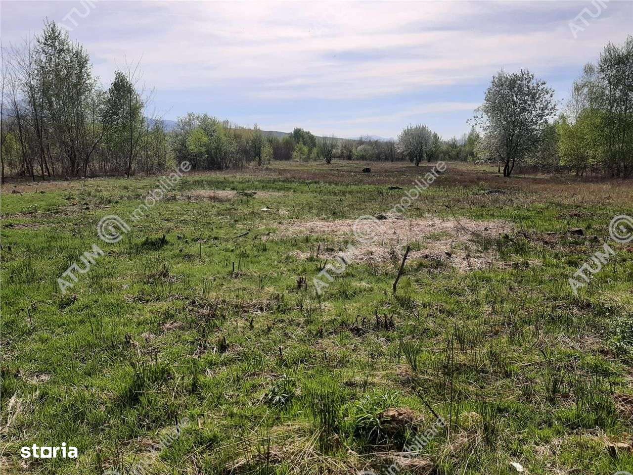 Teren intravilan 2700 mp pe Valea Avrigului localitate Avrig - Imagine principală: 1/7