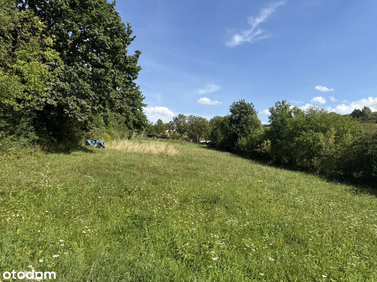 Bojańczyce - widokowa działka budowlana - Pełny obrazek: 5/15