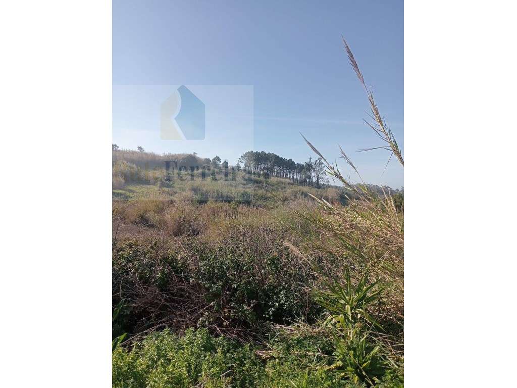 Terrenos rústicos com uma área total de 7.600 m2 situado na Atalaia - Grande imagem: 3/7