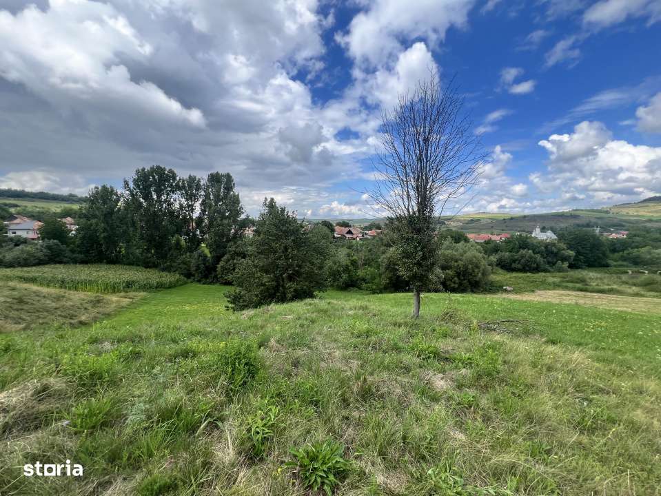 Investitie Teren intravilan 3000 mp intabulat in Corusu - Imagine principală: 5/5