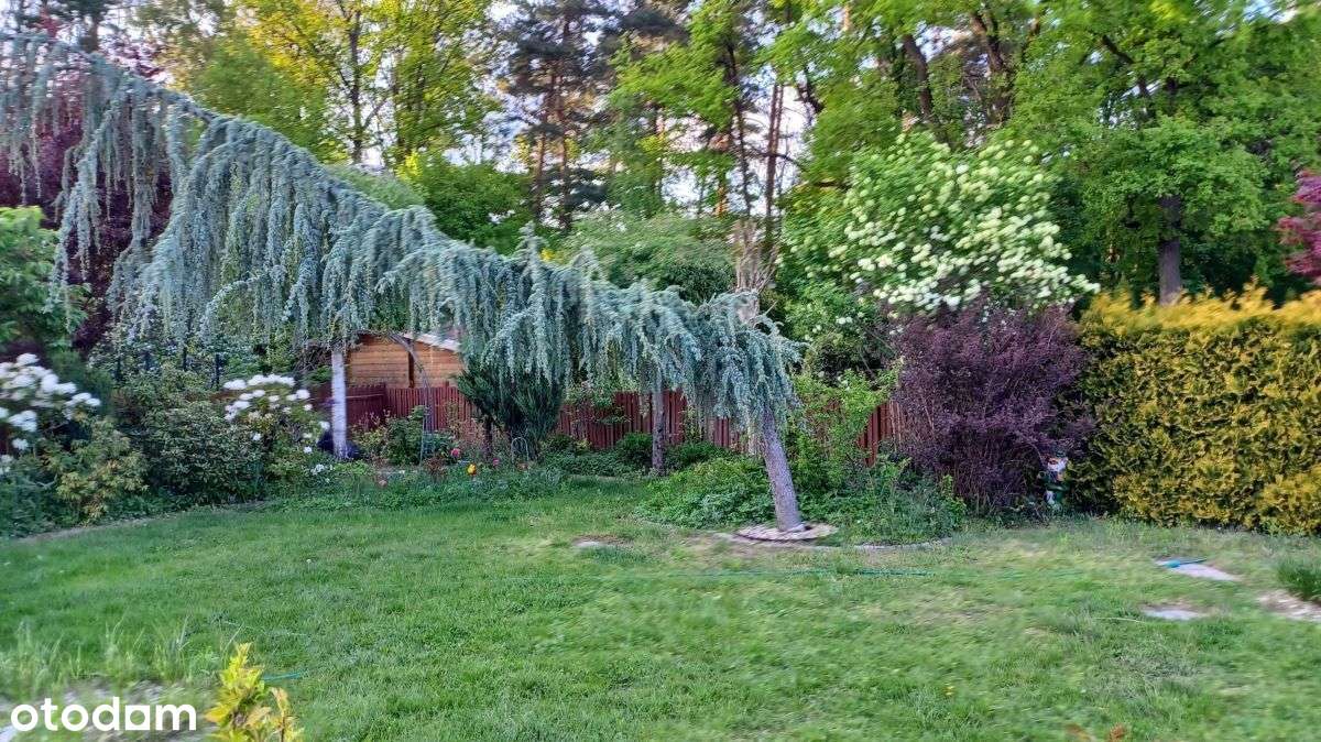 Dom - BliŹniak W Zielonej Górze-15