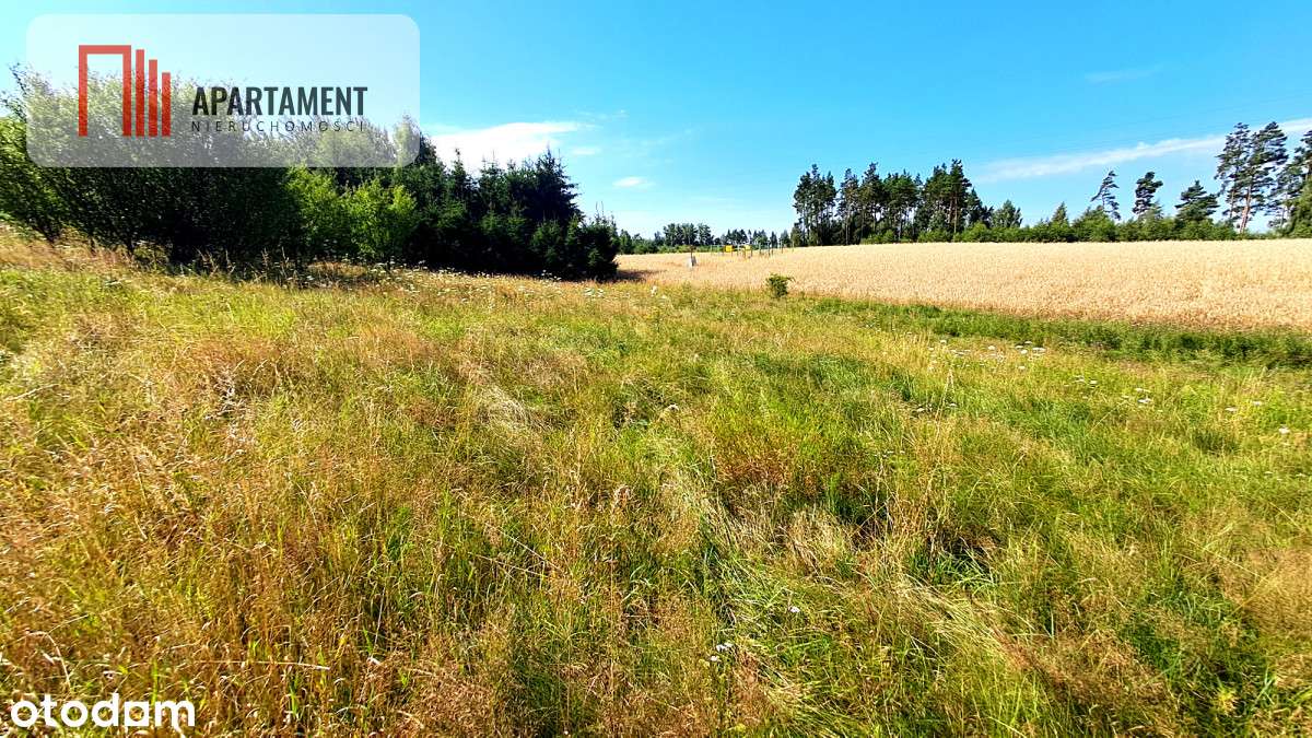 Nowa cena!!Duża działka budowlana blisko miasta! - Pełny obrazek: 5/10