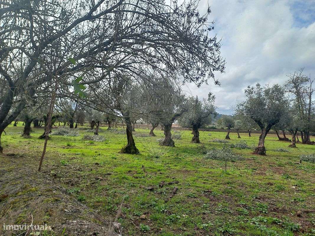 Moradia T11 para venda - Grande imagem: 2/50