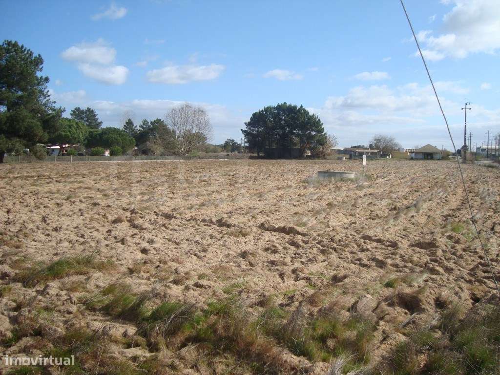 Terreno Venda Industrial - Grande imagem: 3/4