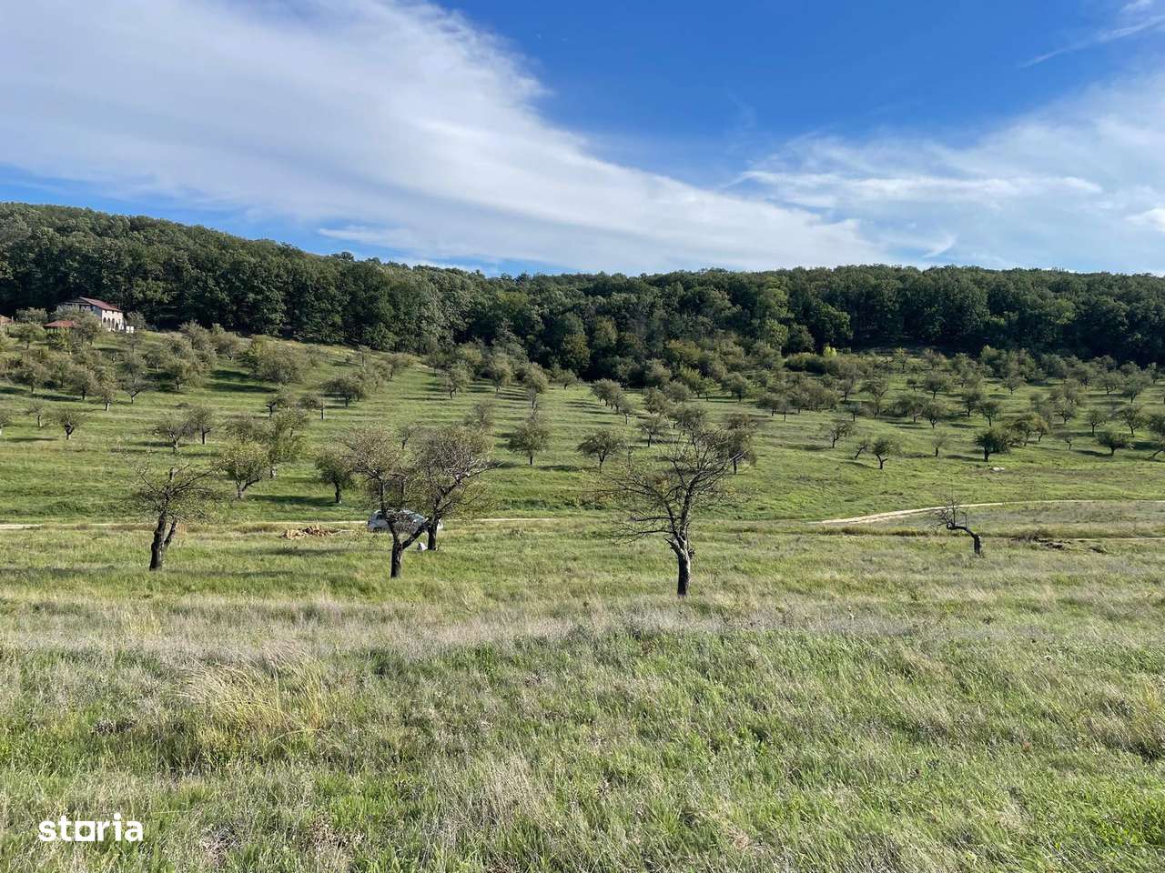 Teren intravilan Predesti Valea Merilor-0