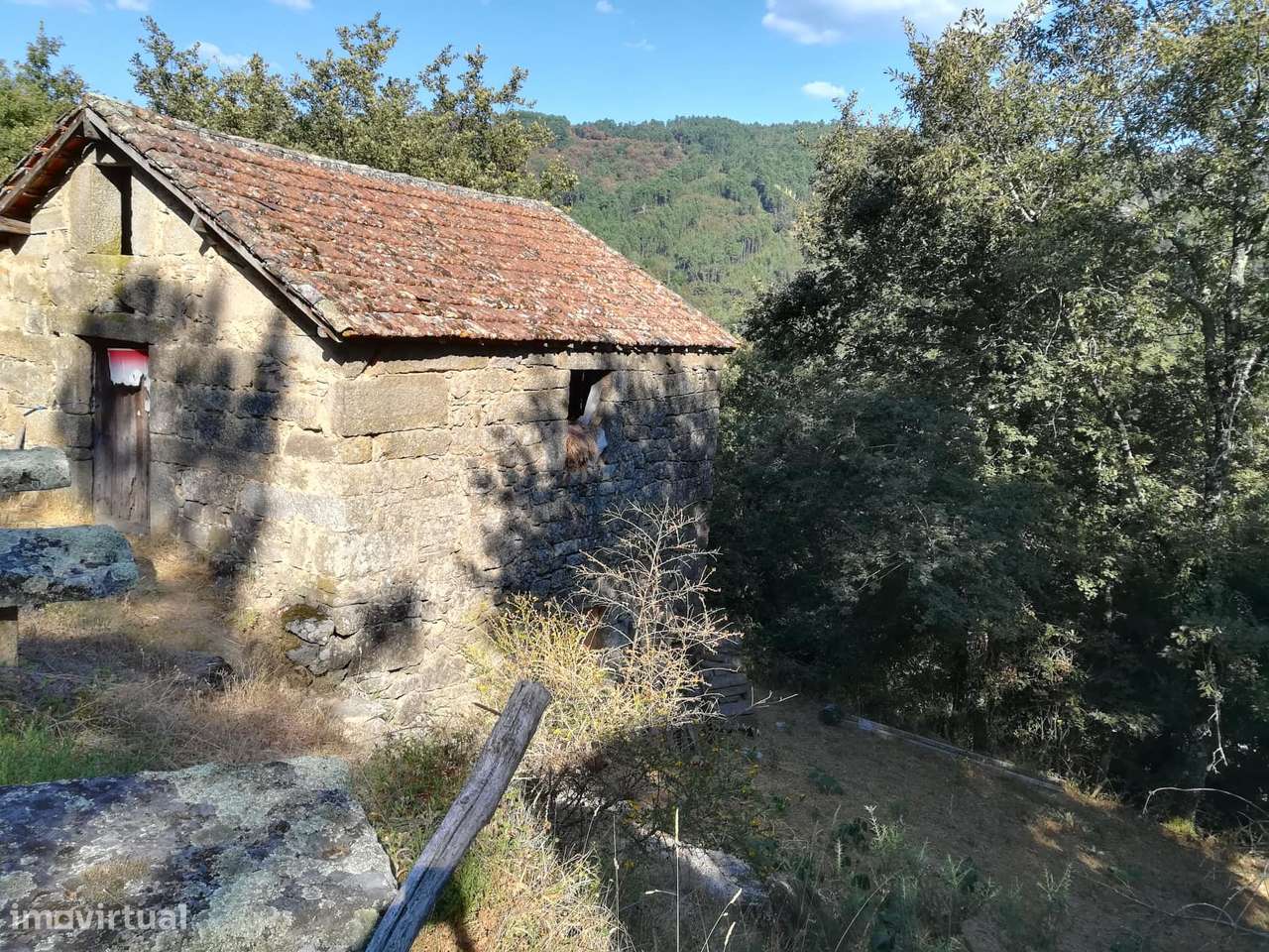 Quinta em Ribas - São Pedro do Sul-7