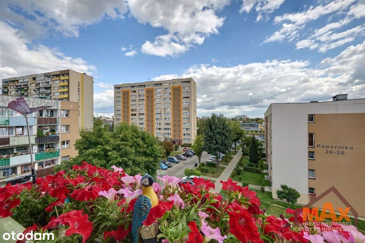 Niska Zabudowa Osiedle H-11