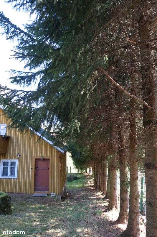 Janowice Wlk. Mały dom 3 pok. 65 m2-5