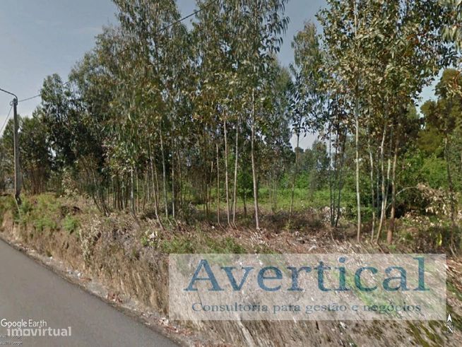 Terreno com 3 entradas - 70.000m2-8