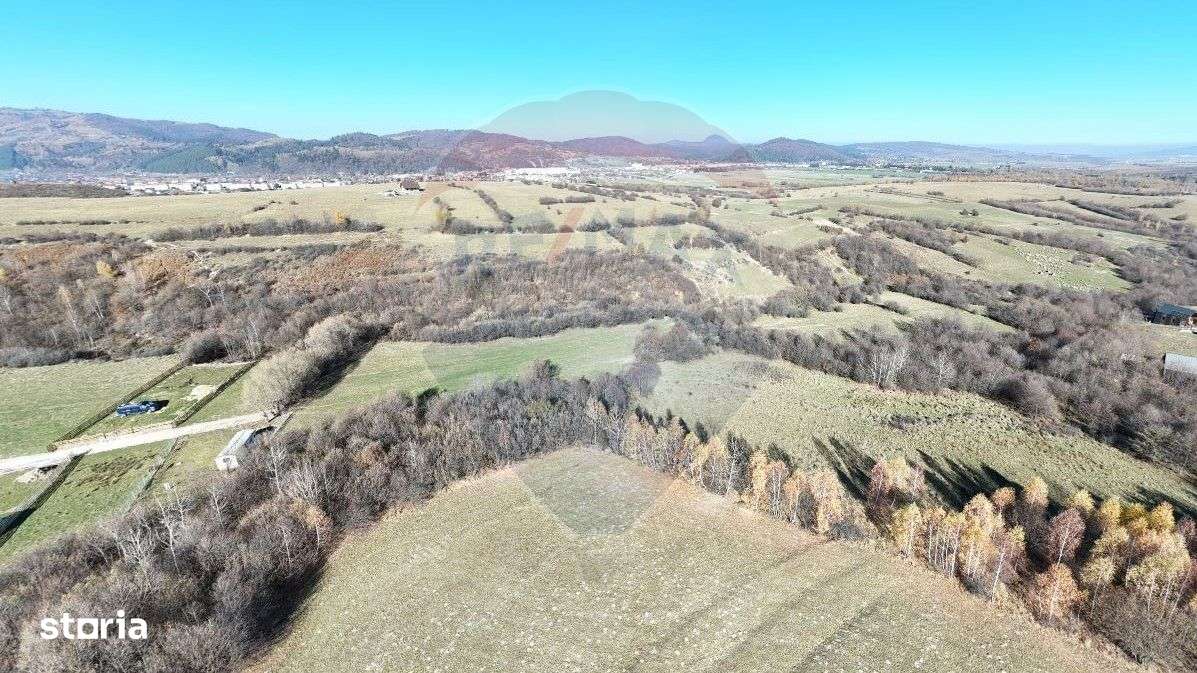 Comision 0% | 2 parcele x 650 mp | Priveliste Bucegi,Magura,P Craiului - Imagine principală: 3/6