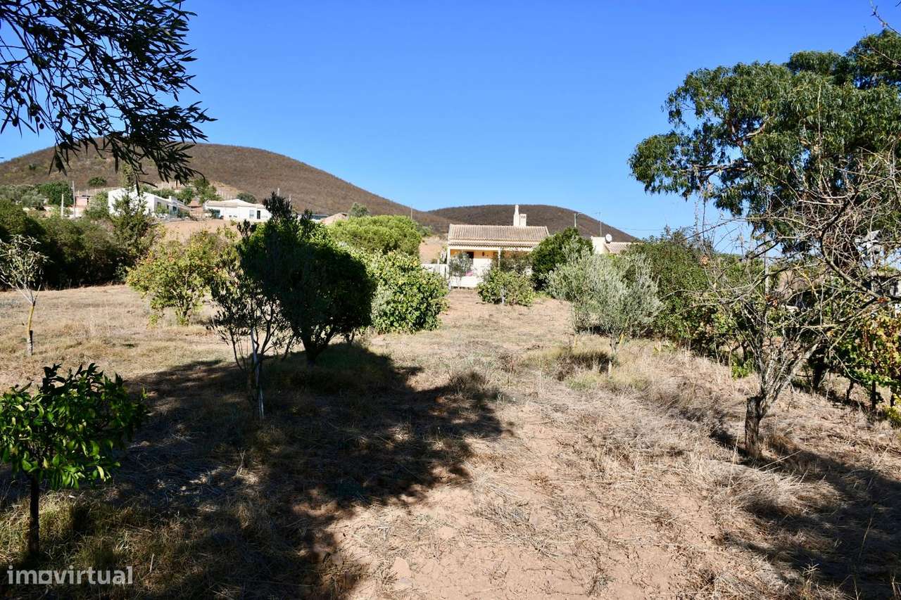 Quinta com moradia V3 na Mexilhoeira Grande-13