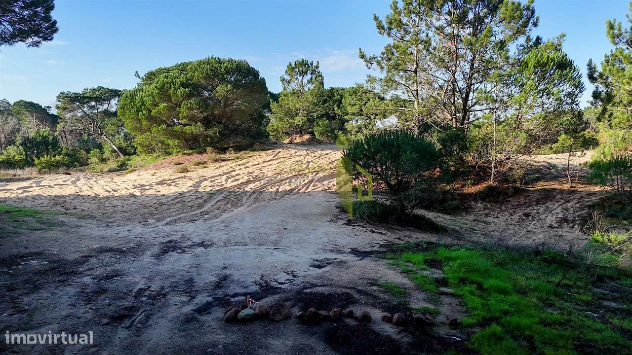 Terreno Rústico com 2360 m2 em Janas, Azenhas do Mar - Grande imagem: 4/15