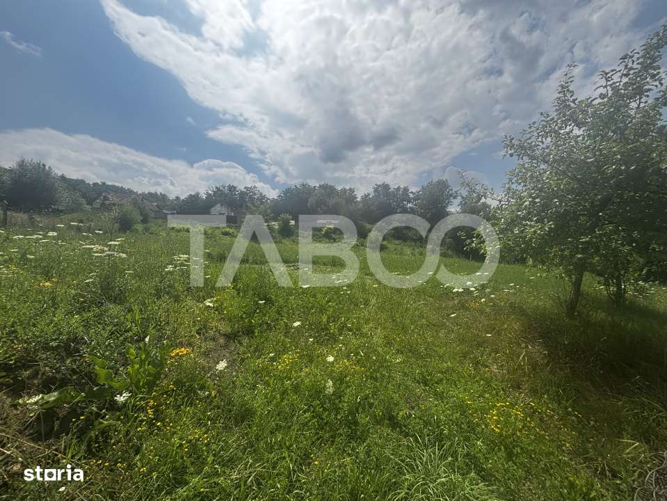 Teren de vanzare intravilan Slimnic Sibiu 860 mp zona deosebita - Imagine principală: 2/2