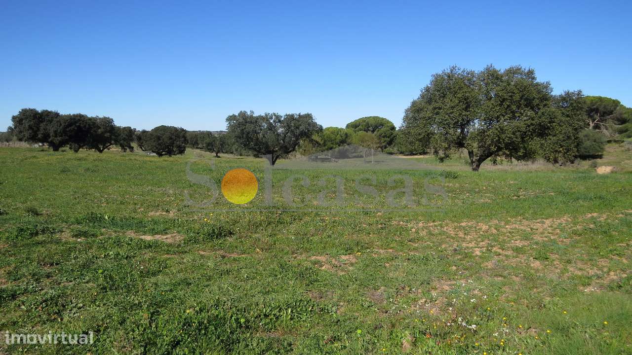 Terreno rústico de 13620 m² em Alcácer do Sal-5