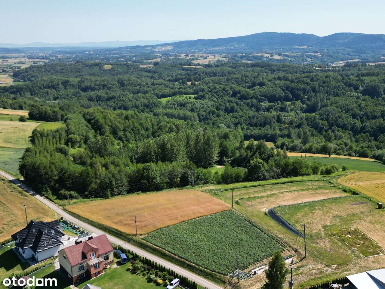 Widokowa działka 4600m2 - Skurowa - Pełny obrazek: 4/6