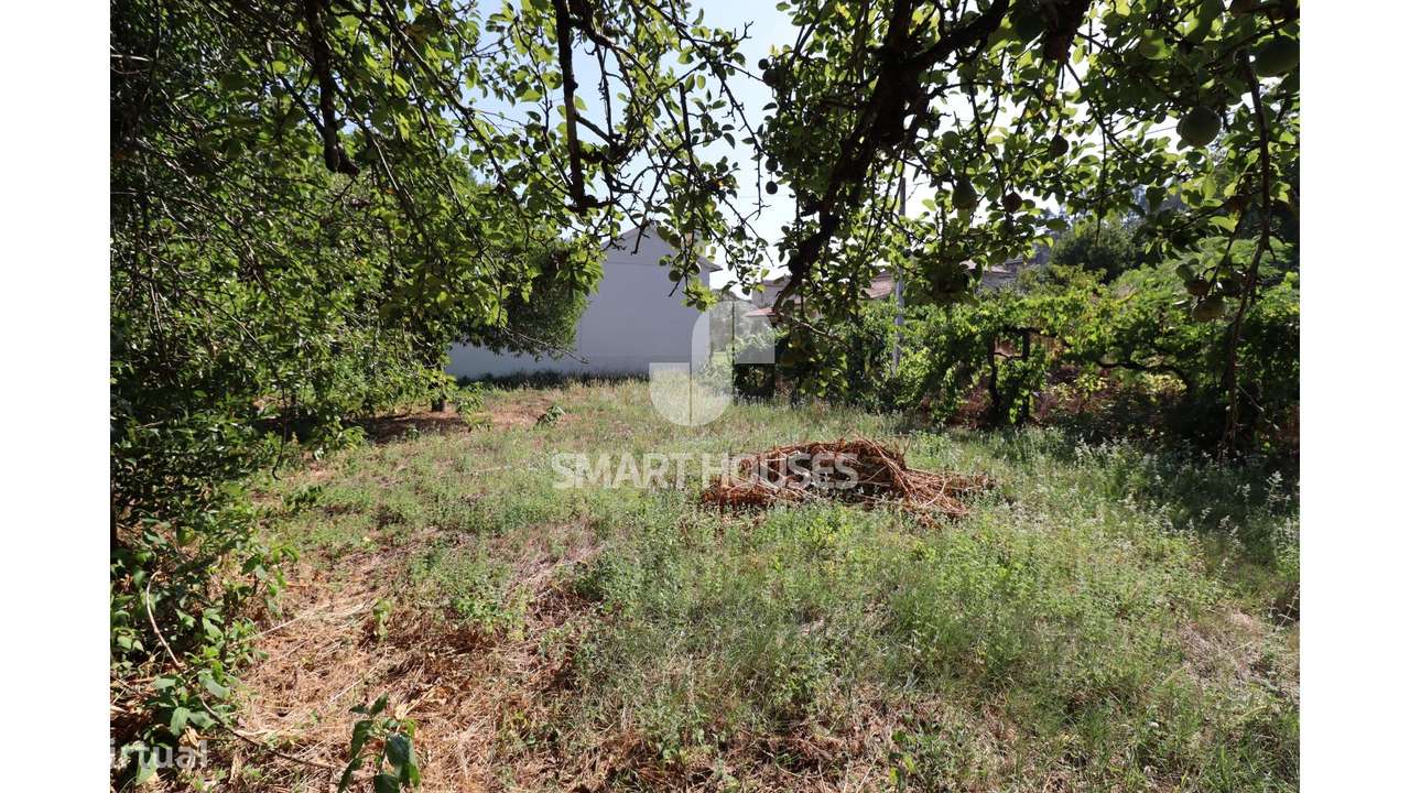 Moradia T2 Couto do Mosteiro c/ terreno-23