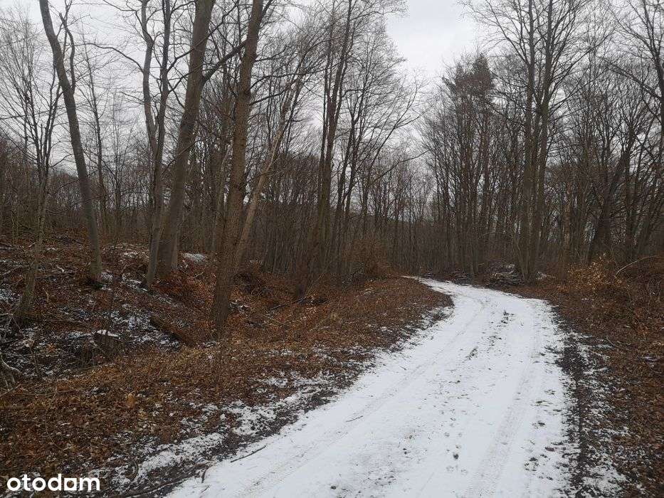 Działka 426/7 w Pręgowie Górnym - Pełny obrazek: 5/6