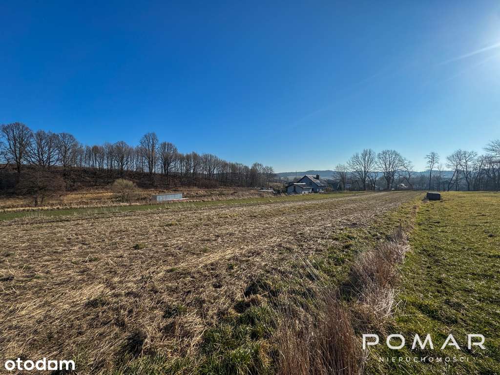 Duża działka w spokojnej okolicy! Tu jest pięknie!-6