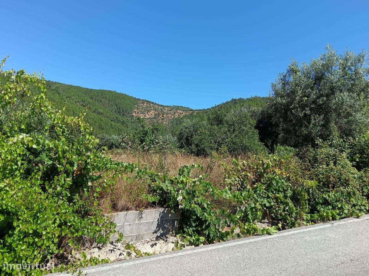 Terreno - Grande imagem: 3/11