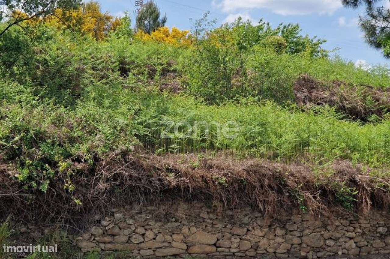 Terreno para Construção – 16.050 m² - Grande imagem: 3/10
