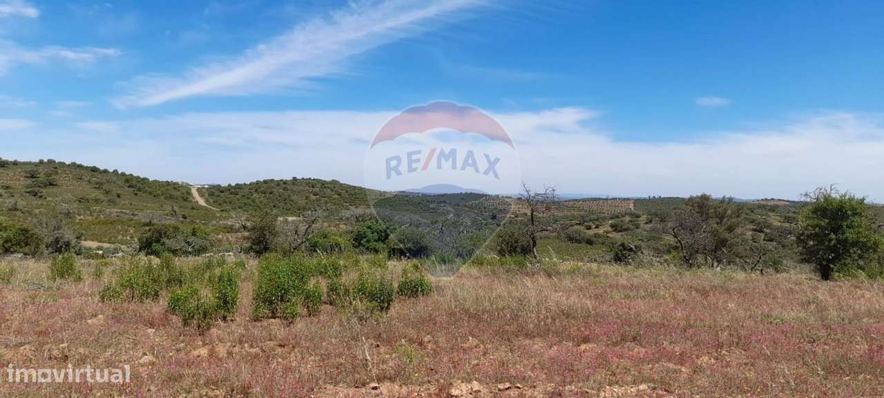 Terreno  para venda - Grande imagem: 4/6