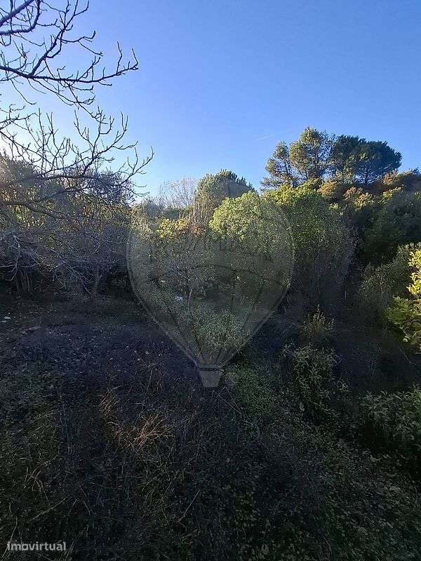 Terreno  para venda - Grande imagem: 3/16