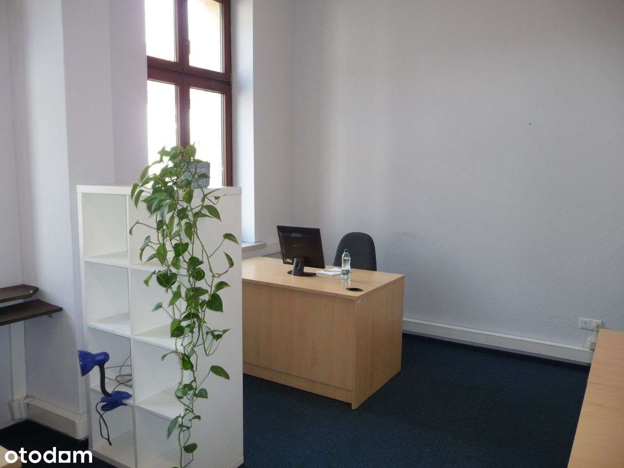 Pomieszczenia biurowe Zwycięstwa 10 Gliwice - Pełny obrazek: 5/8