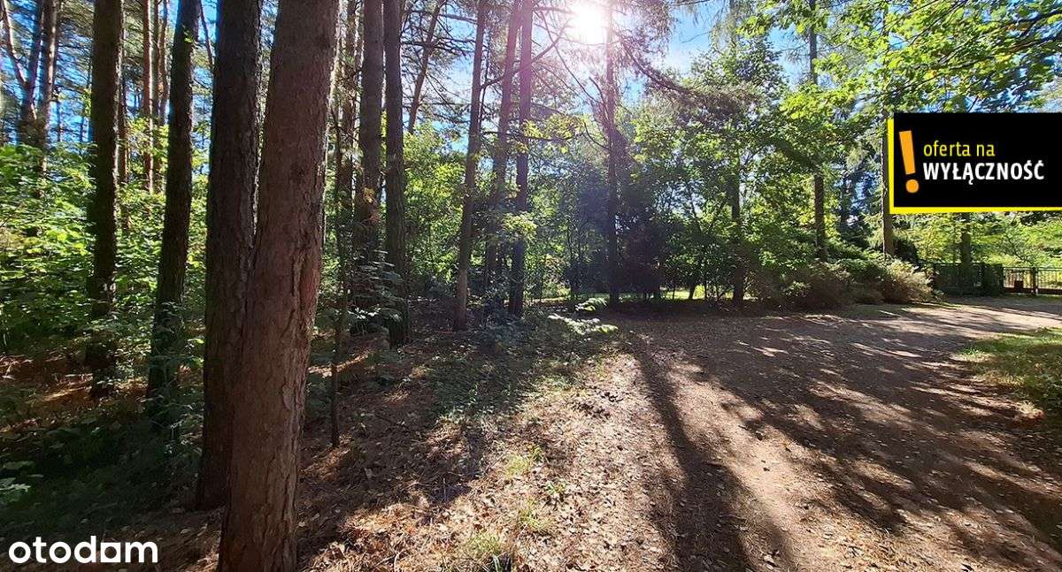 Działka leśna Suków Podmarzysz 5.600 mkw. - Pełny obrazek: 4/4