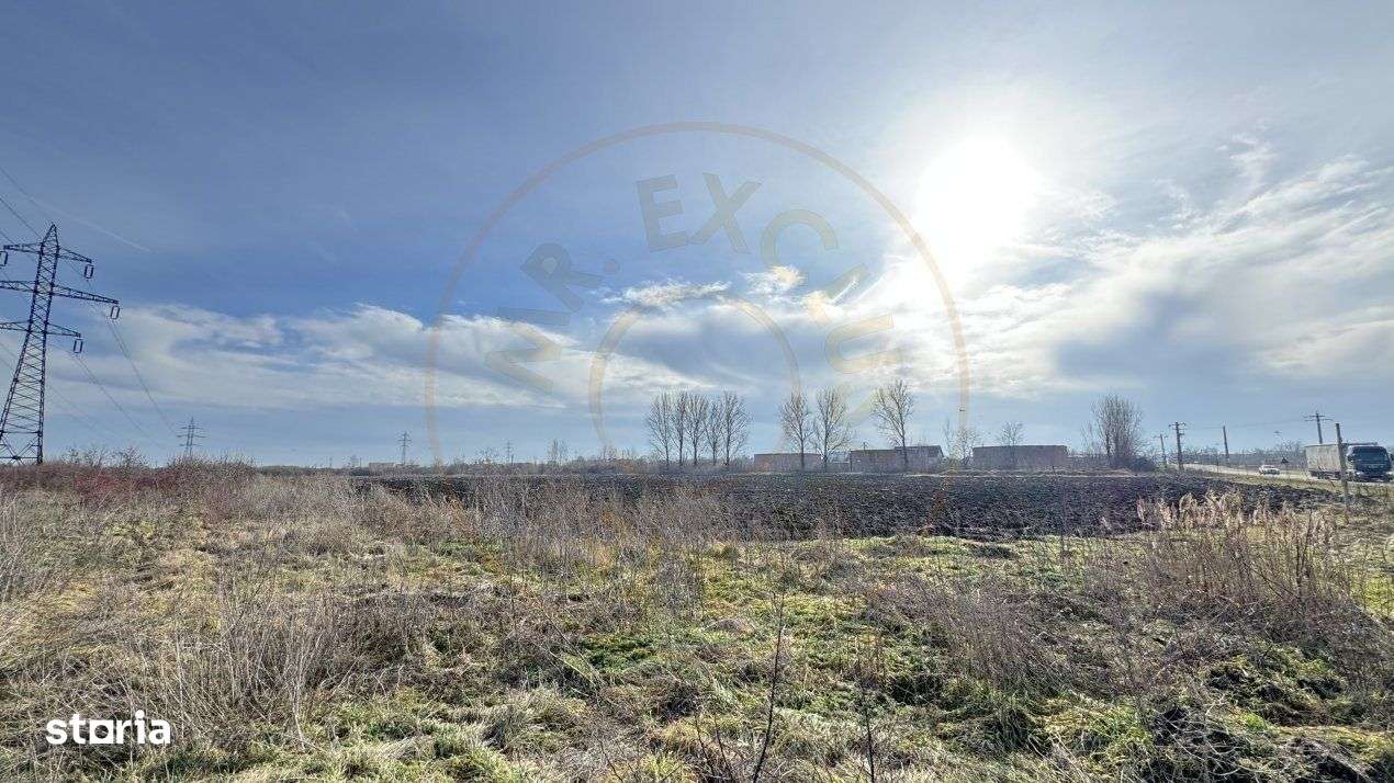 Teren Intravilan Industrial 13.164 mp, Zona Constantin Mille-Carei-Com - Imagine principală: 5/10