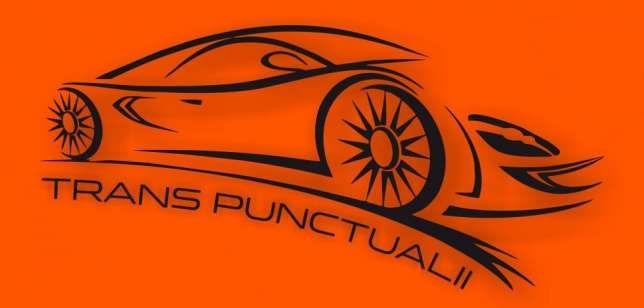 TRANS PUNCTUALII logo