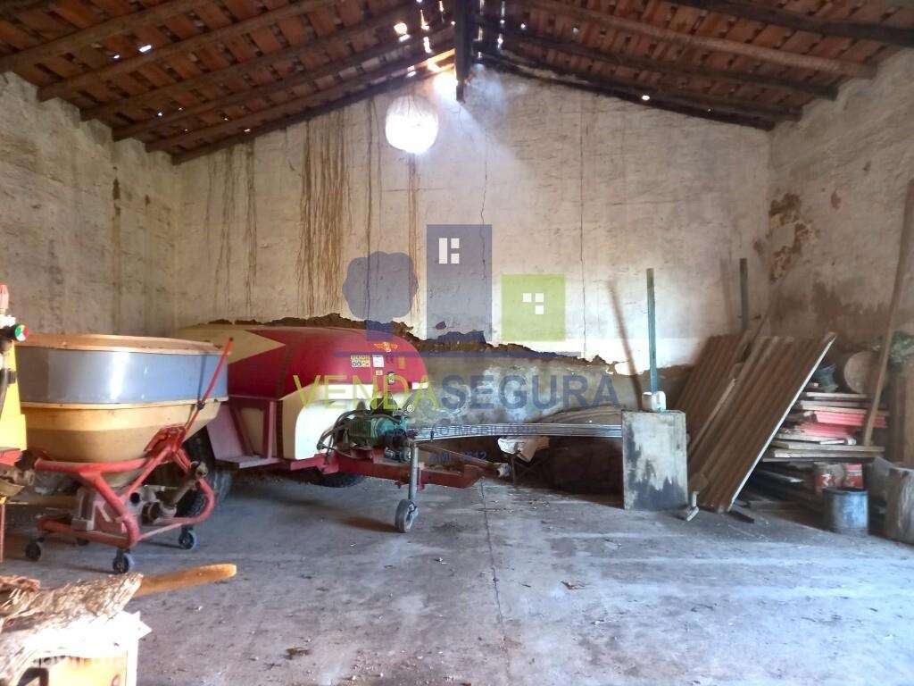 Armazém com quintal | Safara - Grande imagem: 4/11