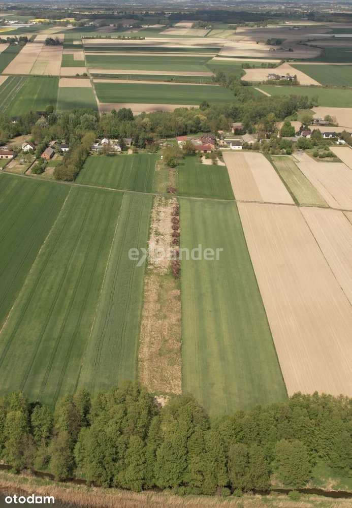 Idealna przestrzeń na dom i rekreację! - Pełny obrazek: 3/9