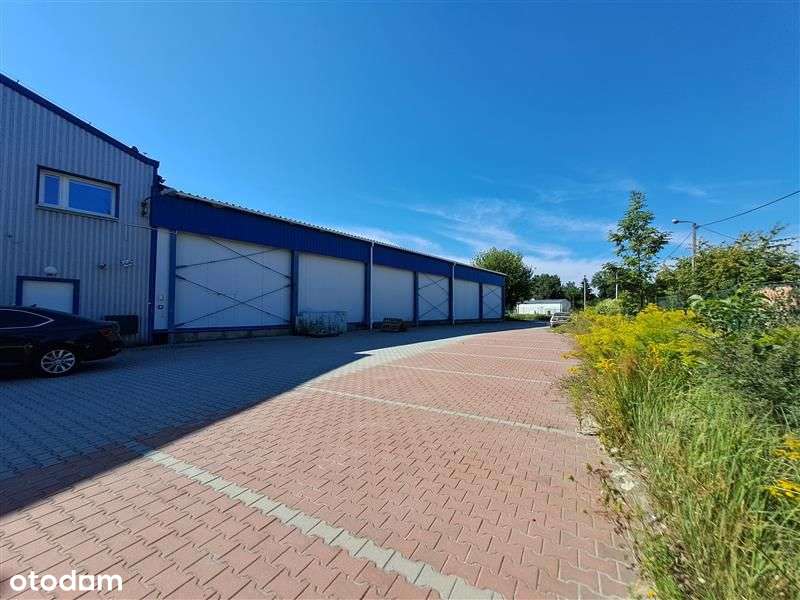 Magazyn z chłodniami w pobliżu autostrady A4.-17