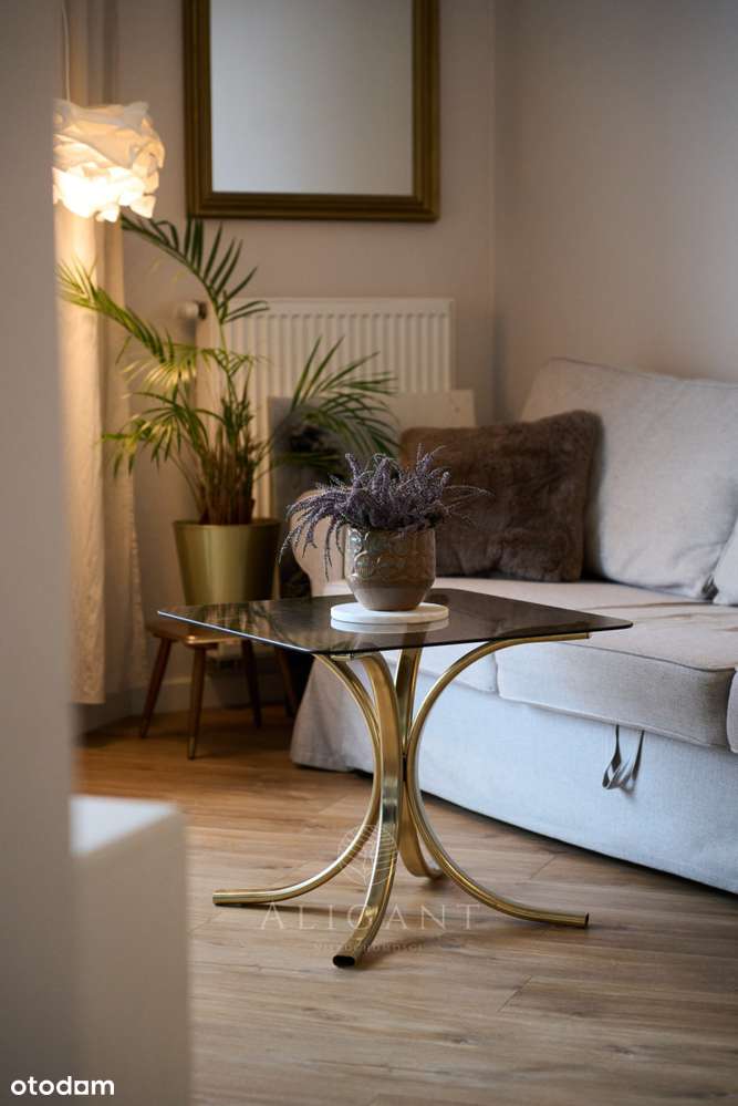 Klimatyczne 2 pokoje * 50 m² * oddzielna kuchnia*-3