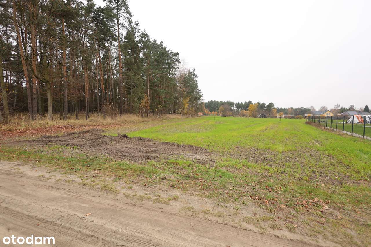 Działka przy ścianie lasu w Szczedrzyku!!! - Pełny obrazek: 3/3