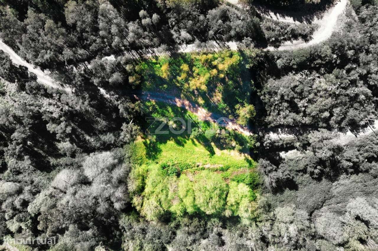 Terreno Rústico com 2000m2 - Monchique - Grande imagem: 5/33