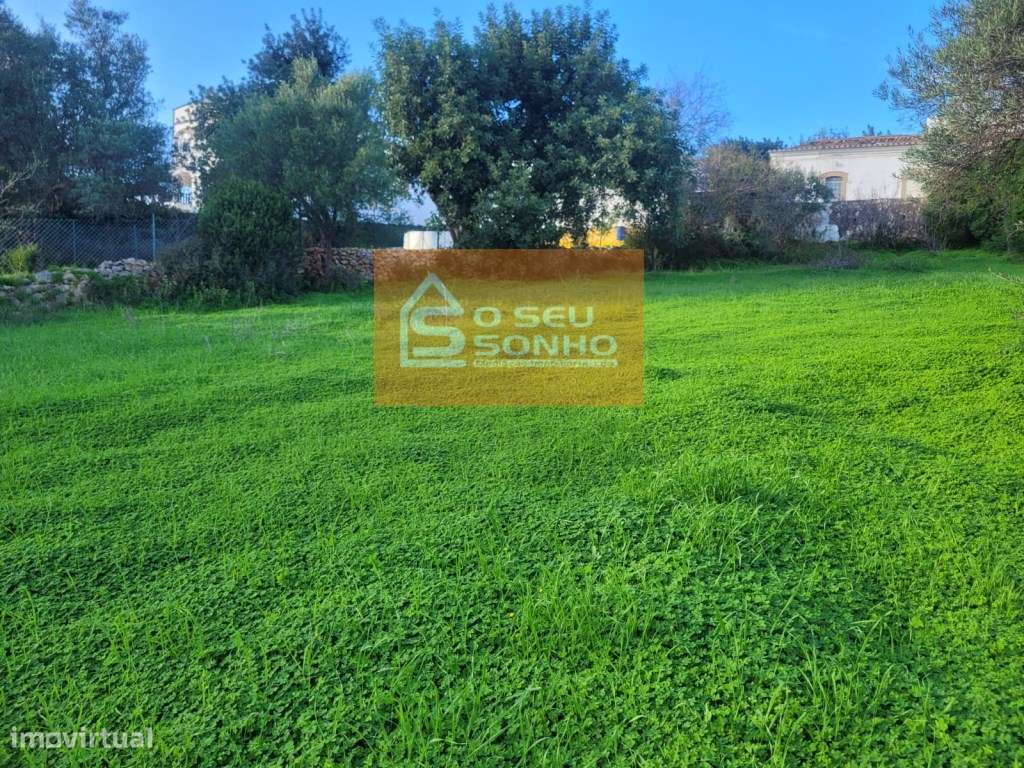 Terreno Rústico com 1.450 m² - Viabilidade de Construção - Grande imagem: 4/8