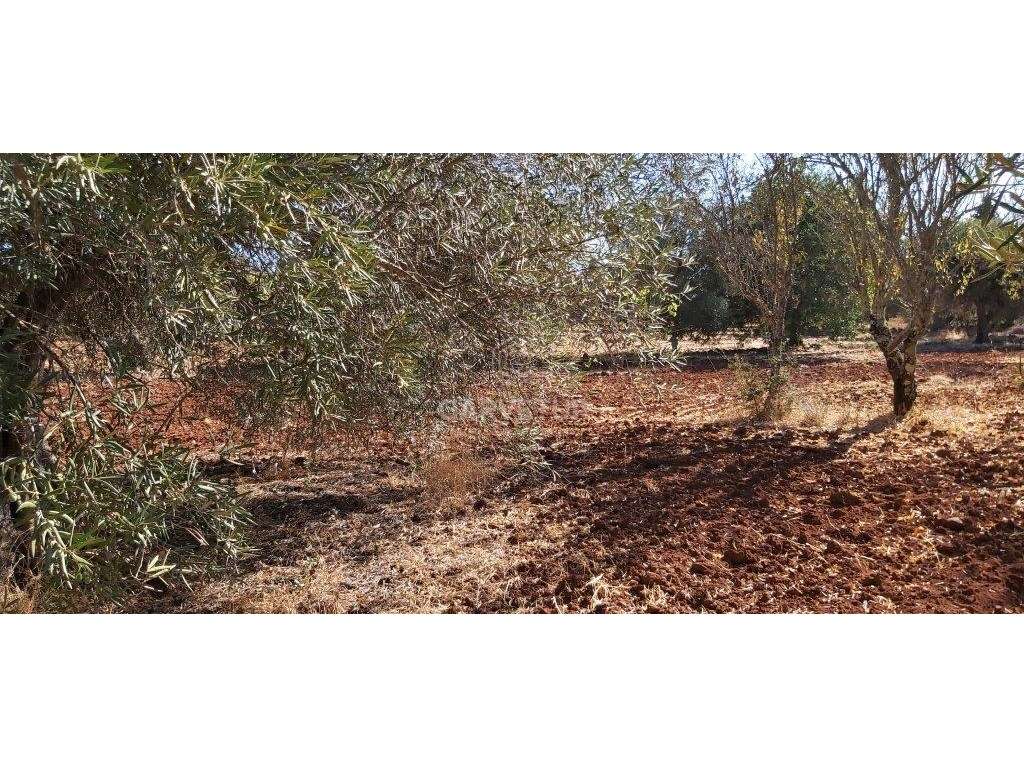 Terreno rústico, em zona agrícola, Ribeira de Alte, Paderne, Albufe... - Grande imagem: 5/24