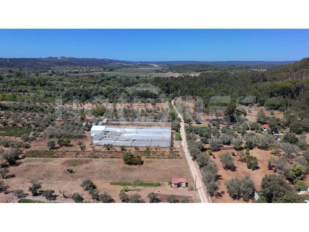 Terreno Agrícola com Estufas Preparadas para Produção em Hidroponia...-26