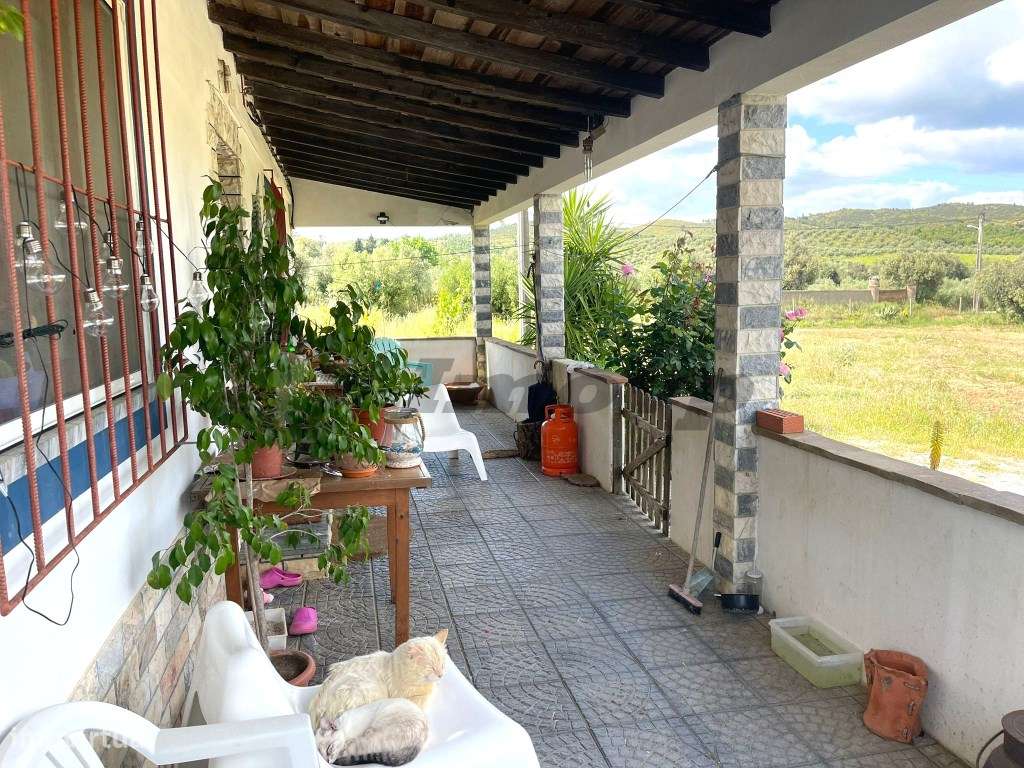 Quinta localizada a 1,5Km da Vidigueira - Grande imagem: 4/30